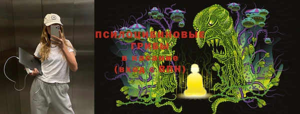 метадон Вяземский